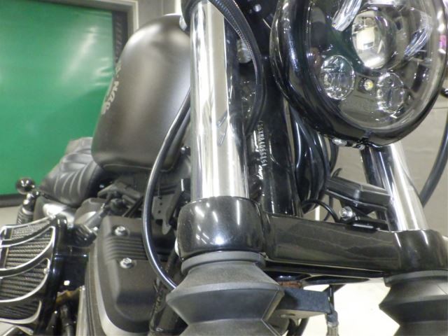 Harley-Davidson XL883N 2021