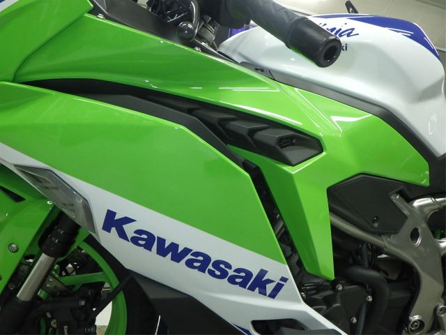 Kawasaki ZX-4RR 2024