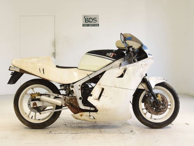 RG400ｶﾞﾝﾏ(ｼｮﾙｲﾅｼ)