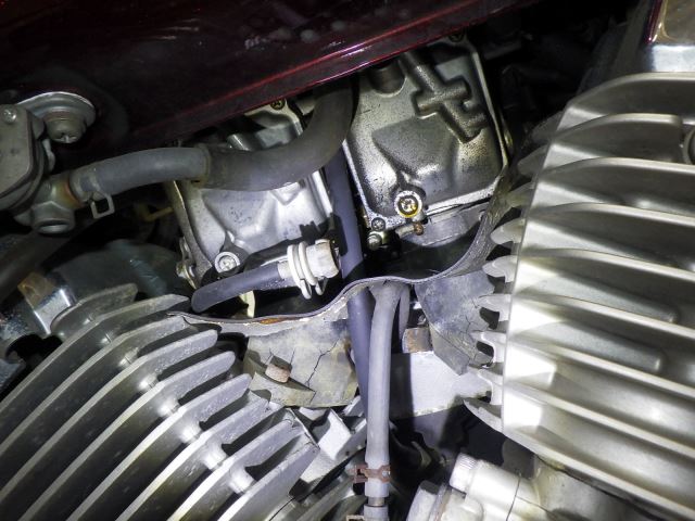 E. G