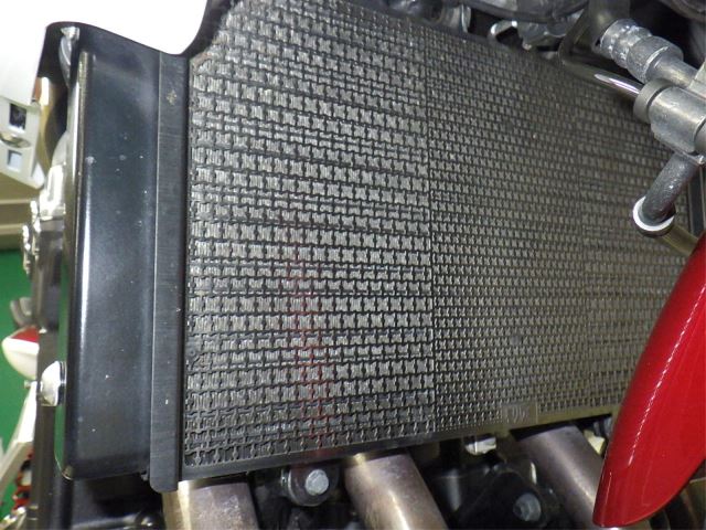 E. G