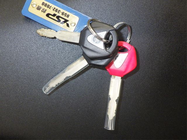 Elektryka