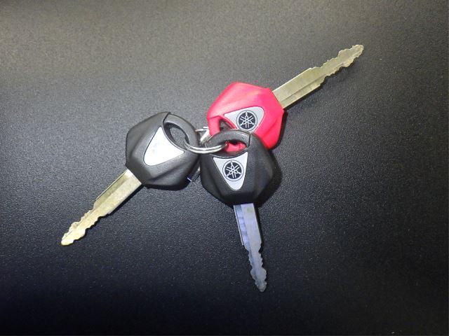 Elektryka