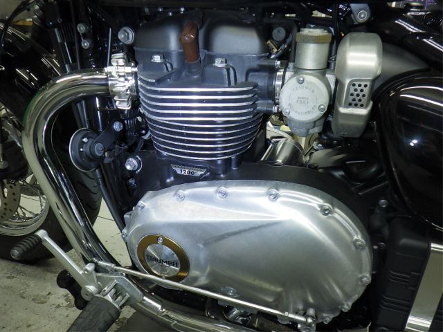 E. G