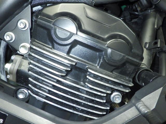 E. G