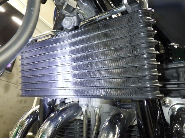 E. G