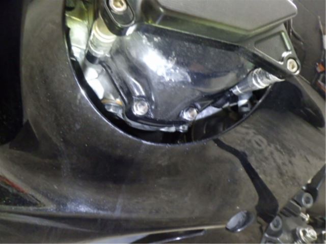 E. G