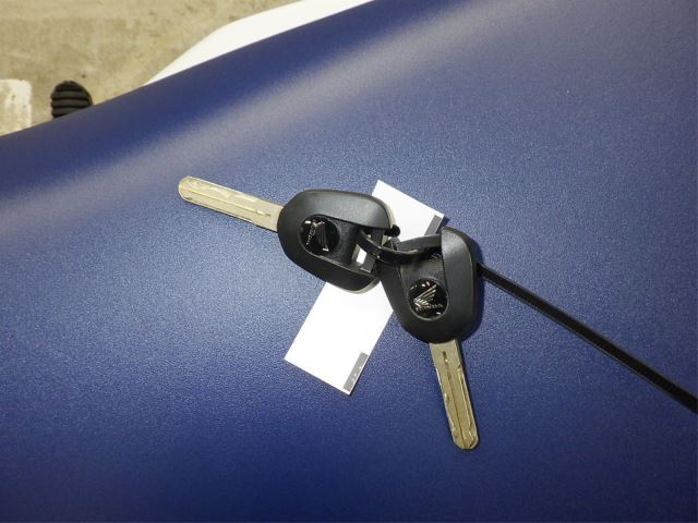Elektryka