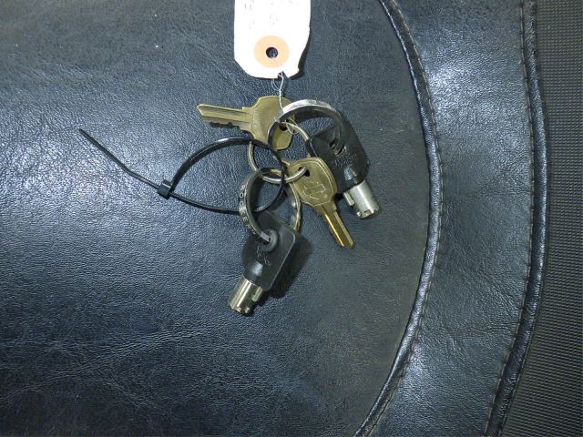 Elektryka
