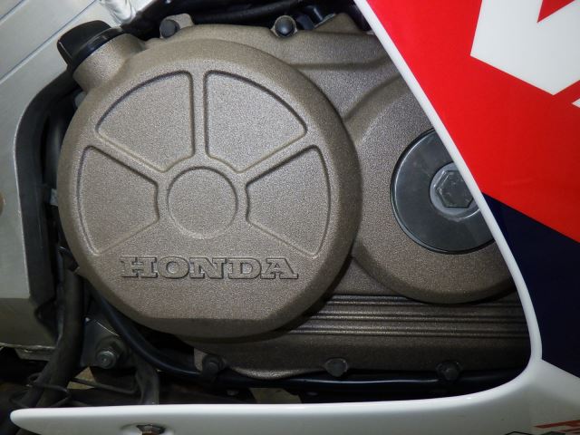 E. G