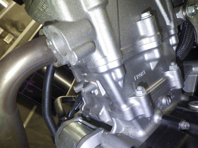 E. G