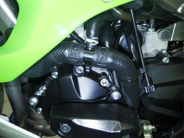 E. G