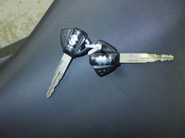 Elektryka