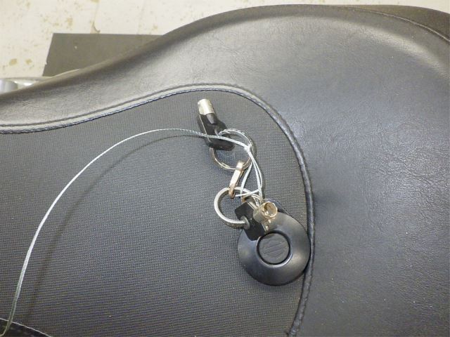 Elektryka