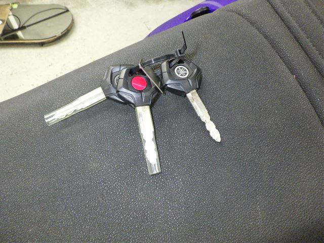 Elektryka