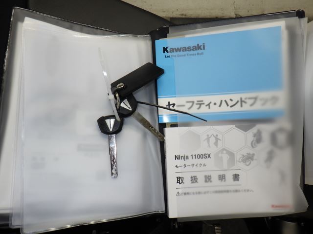 Elektryka