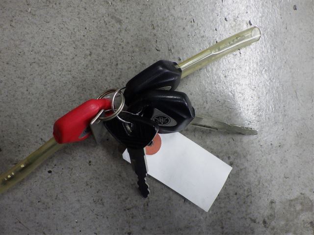 Elektryka