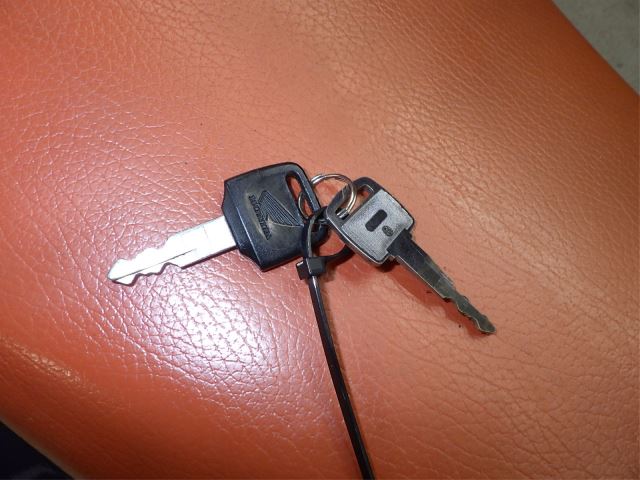 Elektryka