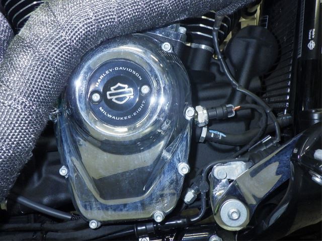 E. G