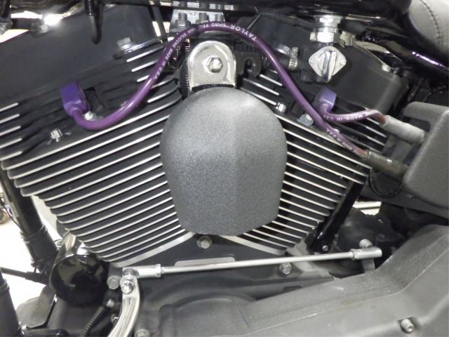 E. G
